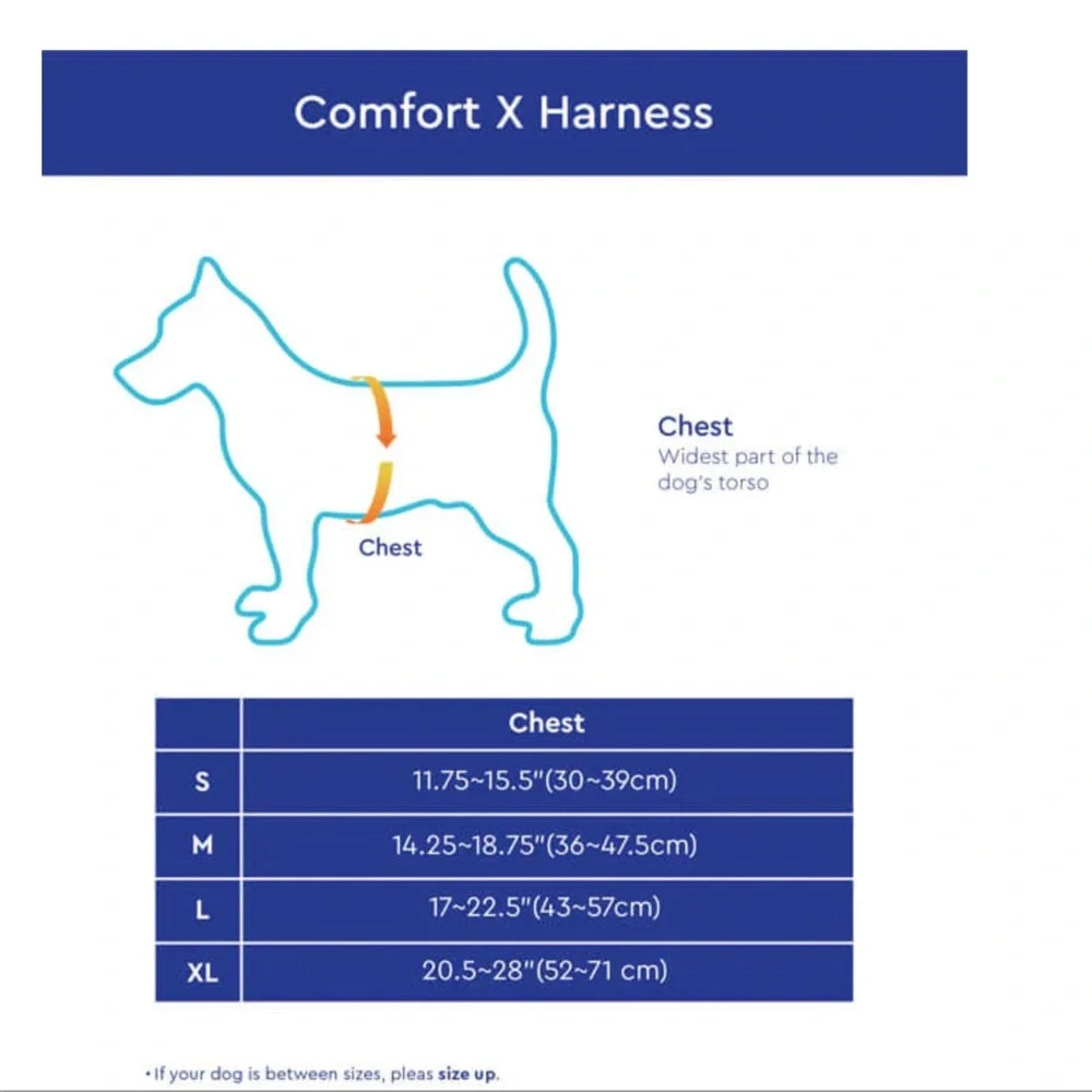 GOOBY ‘X Comfort Harness’ in Purple - Picture 9 of 12